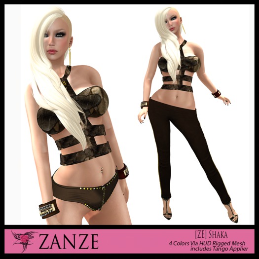 [ZE] Shaka HUD w/ Tango Appliers