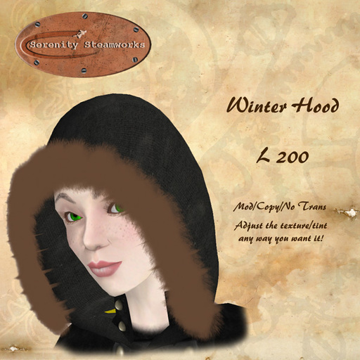 Winter Hood