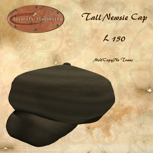 Tall Newsie Cap