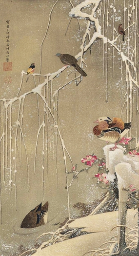 mandarin-ducks