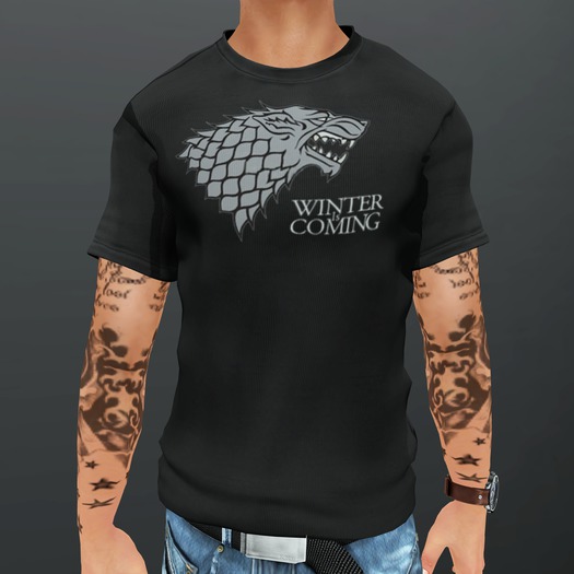 [HD]Winter is Coming Mesh Tee