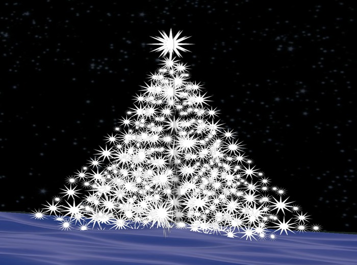 plants  christmas tree 3