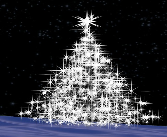 plants  christmas tree 4