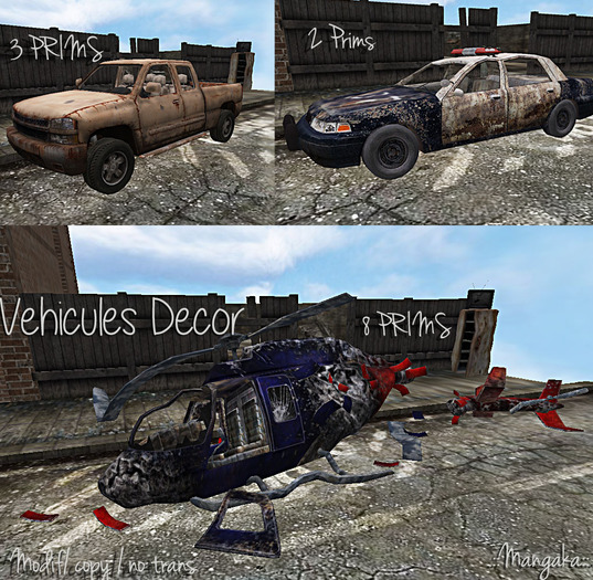 Decor vehicules