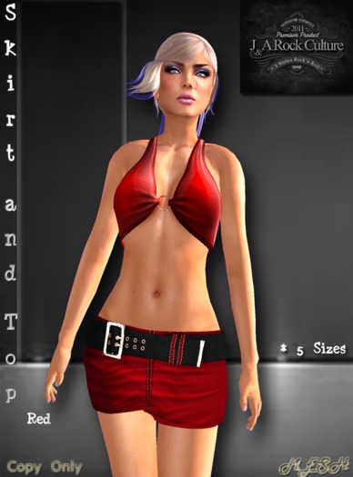 Skirt and Top Red