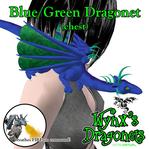 Blue/Green Dragonet (chest)