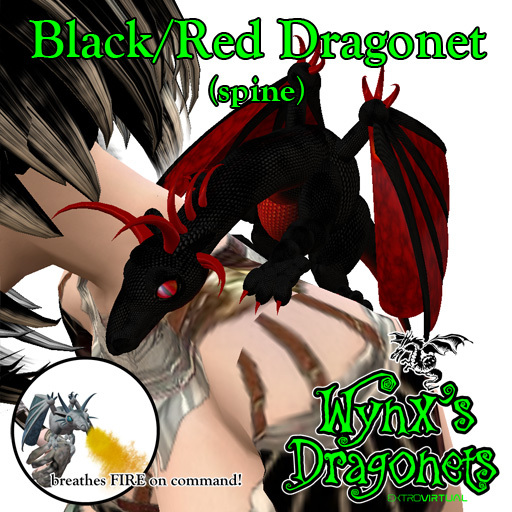 Black/Red Dragonet (spine)