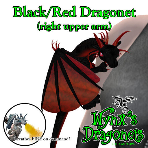 Black/Red Dragonet (rt upper arm)