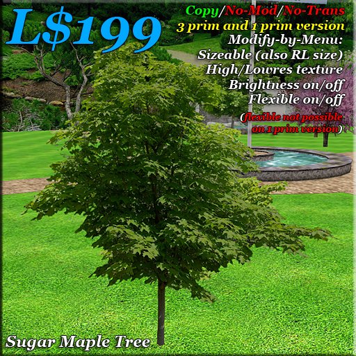 Sugar Maple Tree. 3 prim tree + FREE 1 prim tree version. Copy. low prim trees. Photorealistic. HQ
