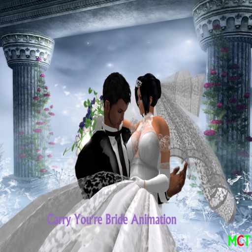 Wedding Poses & Animations Pack  Carry youre bride animation
