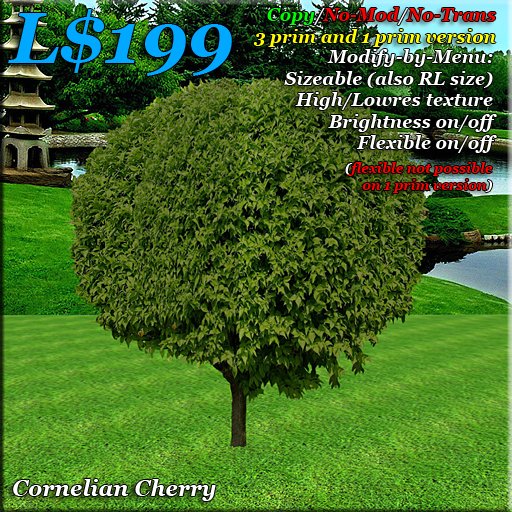 Cornelian Cherry Tree. 3 prim tree + FREE 1 prim tree version. Copy. low prim trees. Photorealistic.