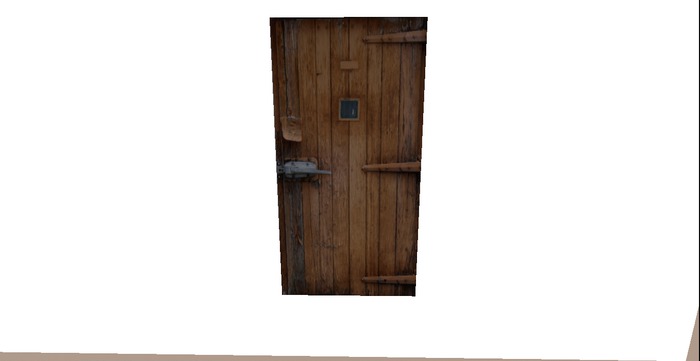 Mesh Door 4