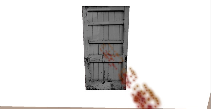 Mesh Door 6