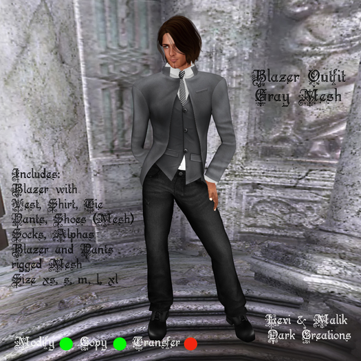 Blazer Outfit Gray  Mesh