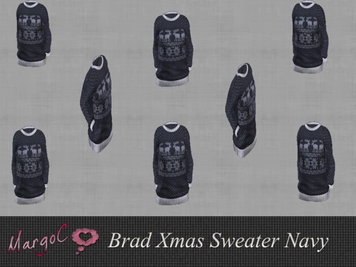 Demo Brad Sweater Navy - MargoC