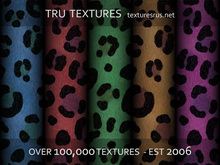 13141: Feb 06 - 7 x Seamless Fun Coloured Leopard Skin Textures - 512 x 512 Pixels 