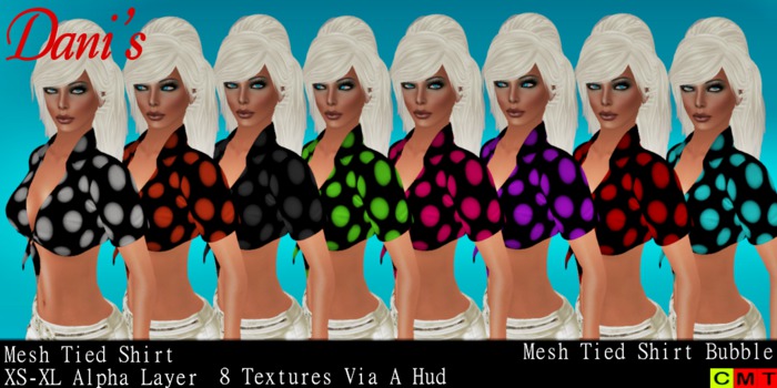 *Dani's* Mesh Tied Shirt Bubble