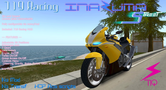 719 Racing - Inazuma S Yellow (BOX)