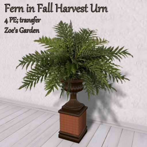 *ZG* Fern in Valentine Urn