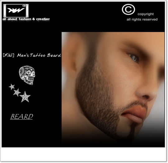 [KW]  Men's Tattoo Beard
