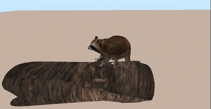Mesh Animated Raccon In Hollow Log