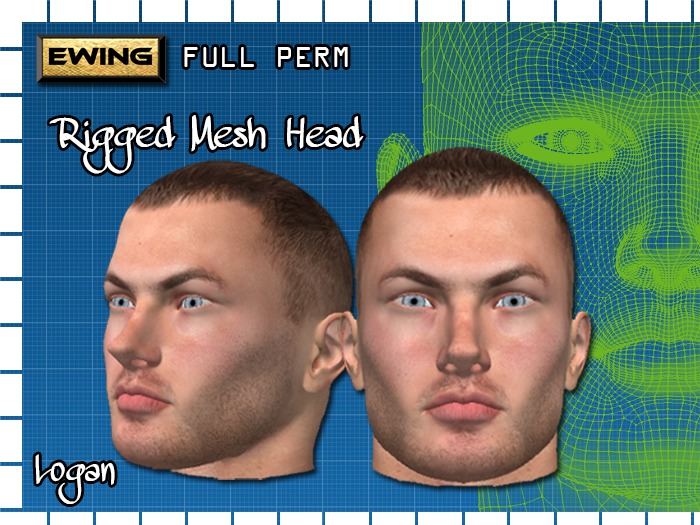 *+EWING+* Full Perm Head Mesh Logan