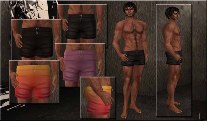 ~*DS*~ Male SwimmWear Shorts with TextureChangerHUD / Mesh