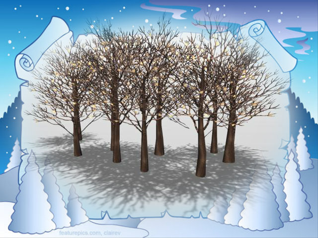 WINTERBAUME MIT SCHATTEN