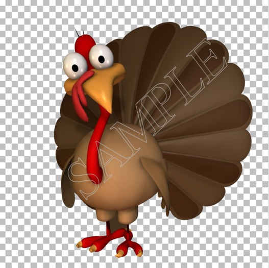 Texture - Alpha (Thanksgiving Turkey)