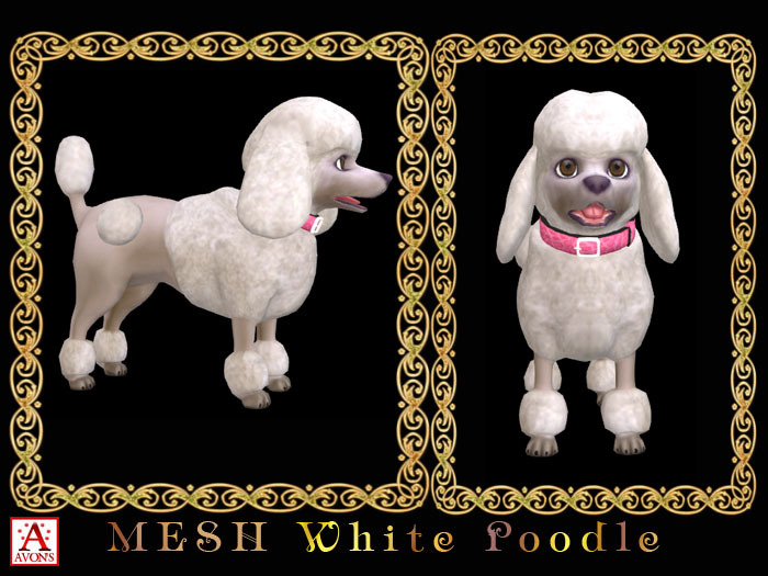 White Poodle - Mesh