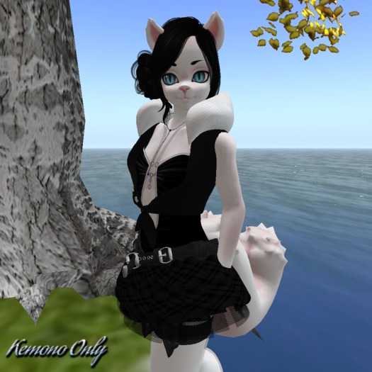 Sassy School Girl Black Kemono ((BAGGED))