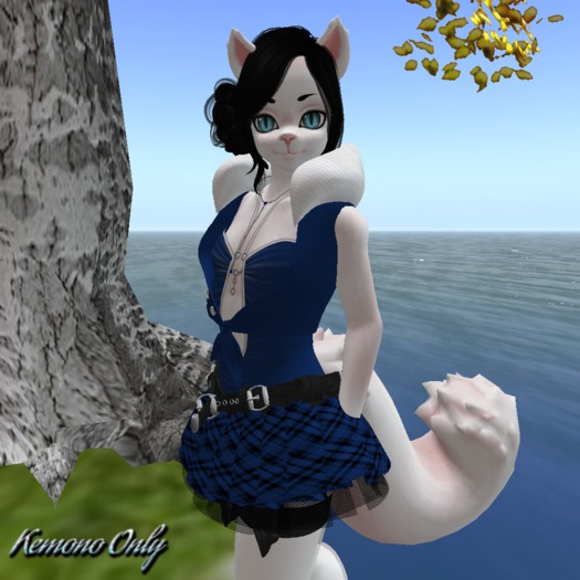 Sassy School Girl Dark Blue Kemono ((BAGGED))