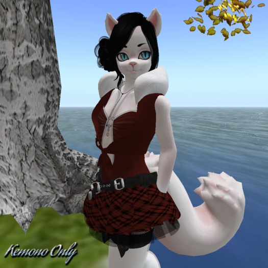 Sassy School Girl Dark Brown Kemono ((BAGGED))