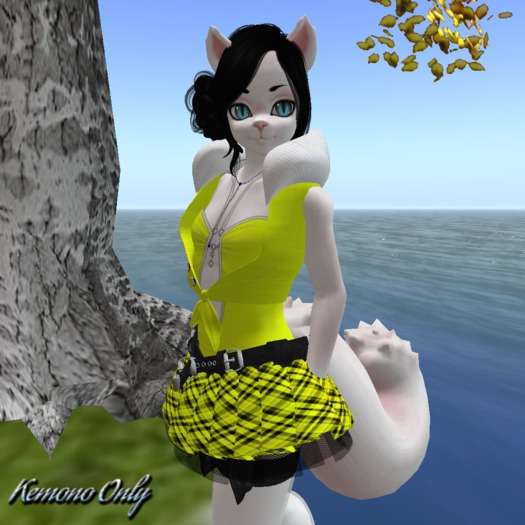 Sassy School Girl Yellow Kemono ((BAGGED))