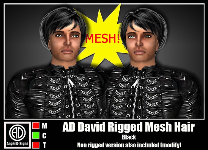 AD David Rigged Mesh Hair Black
