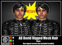 AD David Rigged Mesh Hair Black
