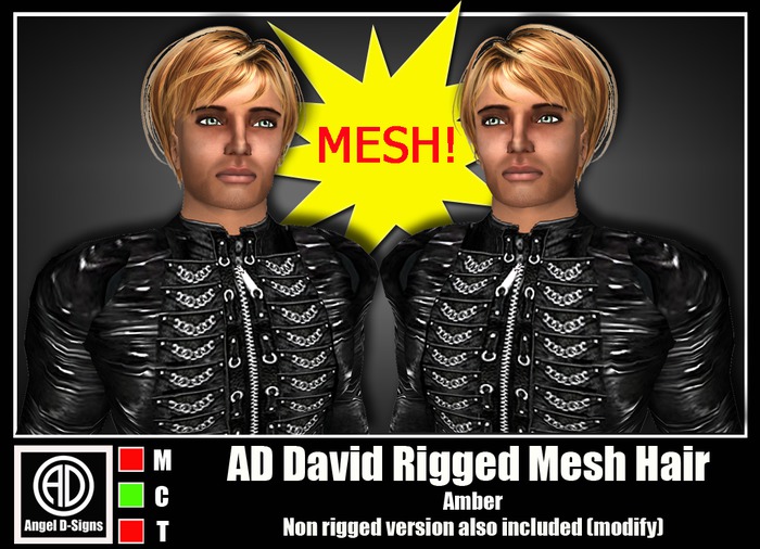 AD David Rigged Mesh Hair Amber