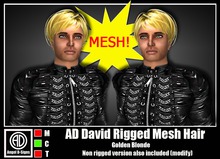 AD David Rigged Mesh Hair Golden Blonde