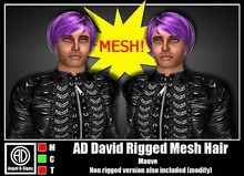 AD David Rigged Mesh Hair Mauve