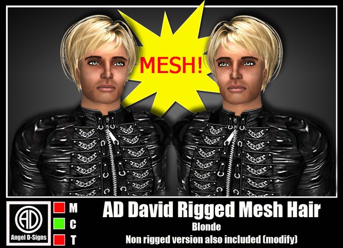 AD David Rigged Mesh Hair Blonde