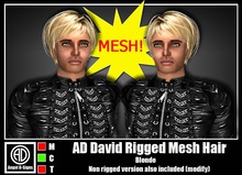 AD David Rigged Mesh Hair Blonde
