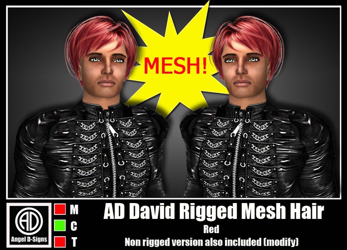 AD David Rigged Mesh Hair Red