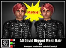 AD David Rigged Mesh Hair Red