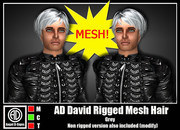 AD David Rigged Mesh Hair Grey
