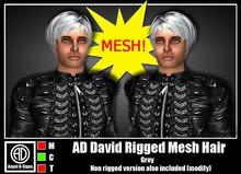 AD David Rigged Mesh Hair Grey