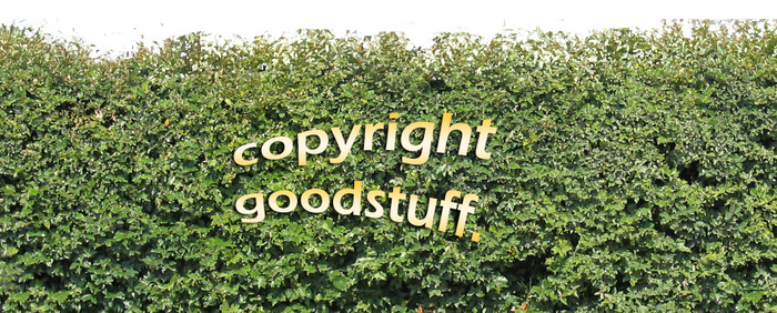 Privacy Screen Hedge #2 (mod/copy) by goodstuff.