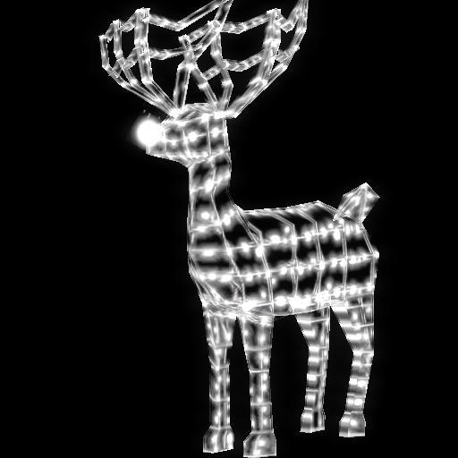 Sassys white reindeer