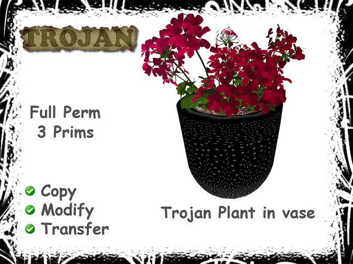 Trojan Plant in vase