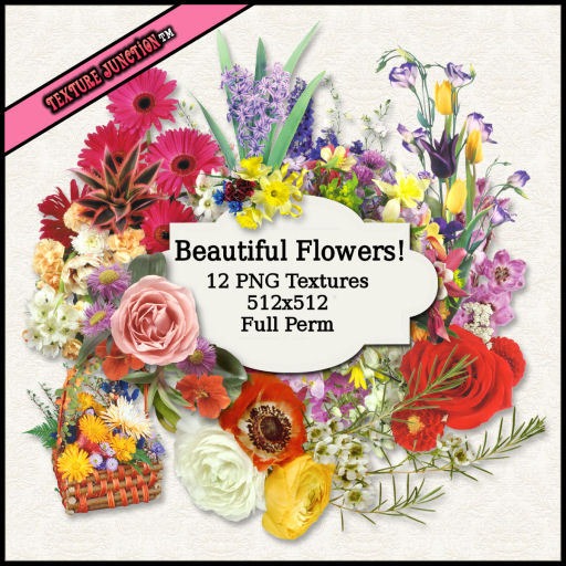 ~TJ~  Beautiful Flowers