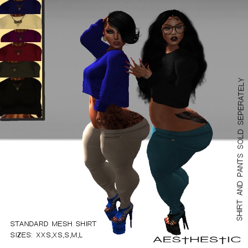 #AESTHETIC# SWEATED MESH SHIRT FATPACK(wear me to unpack)